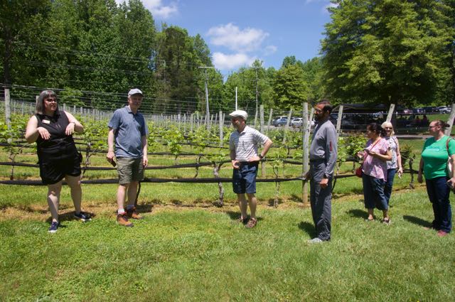 Listening to Jayme explaning how the vines are managed, Vladimir Nesterovich, Rob Stites, Muzaffar Zaffar, Seema Garg and Barbara McCullough