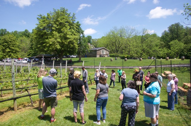 We gathered in a semi-circle before the vines and Jamye