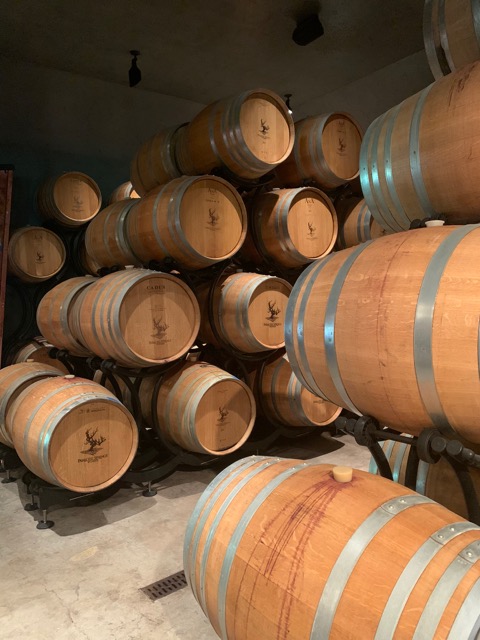 Upstairs, wine casks are stored next to the main wine tasting room