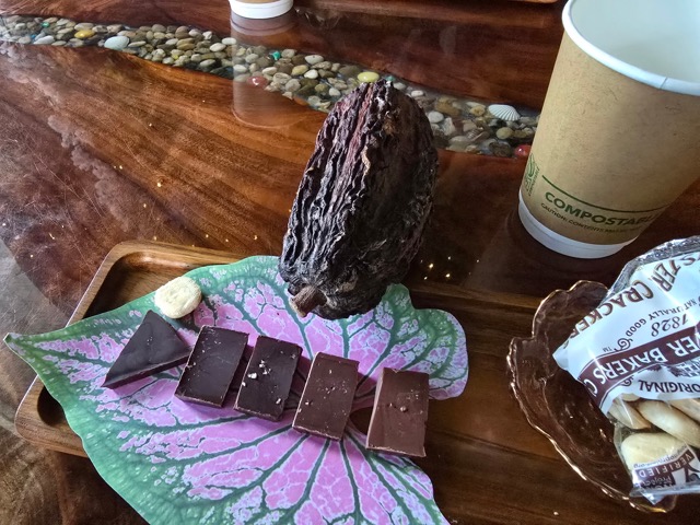 Choclate pod and chocolate tatse samples