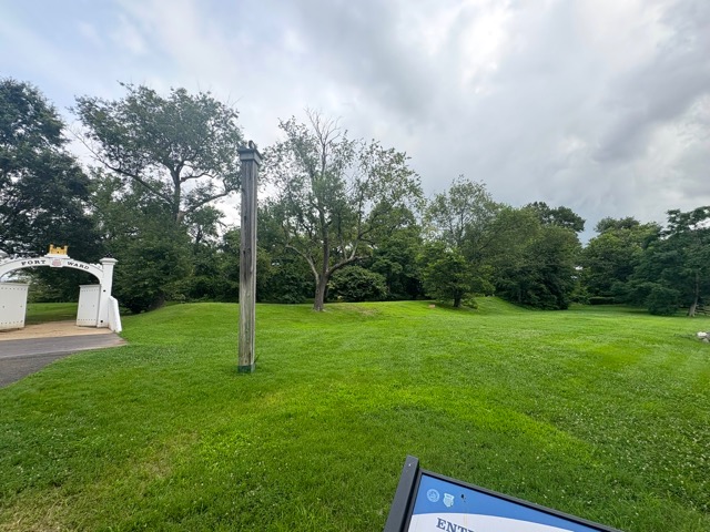 54) Trees growing on the Ft. Ward bombproof earthworks 